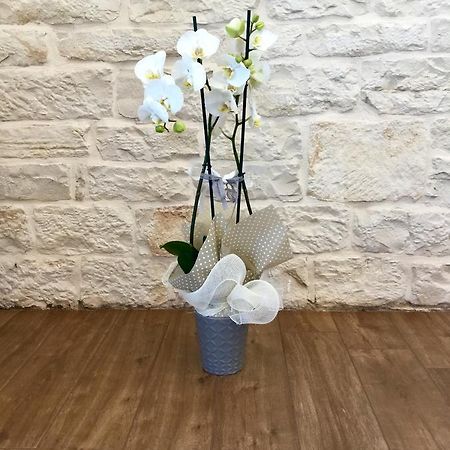B&B Sant'Agostino Giovinazzo Zewnętrze zdjęcie